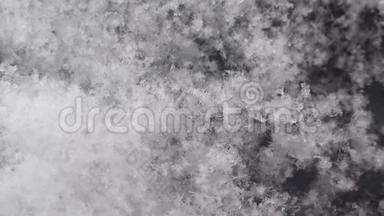 当冬季来临，暖春来临时，白色雪花在黑色背景上融化的特写镜头